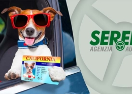 Restyling sito internet Verano Brianza