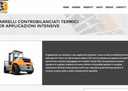 realizzazione sito internet cantone ticino Svizzera