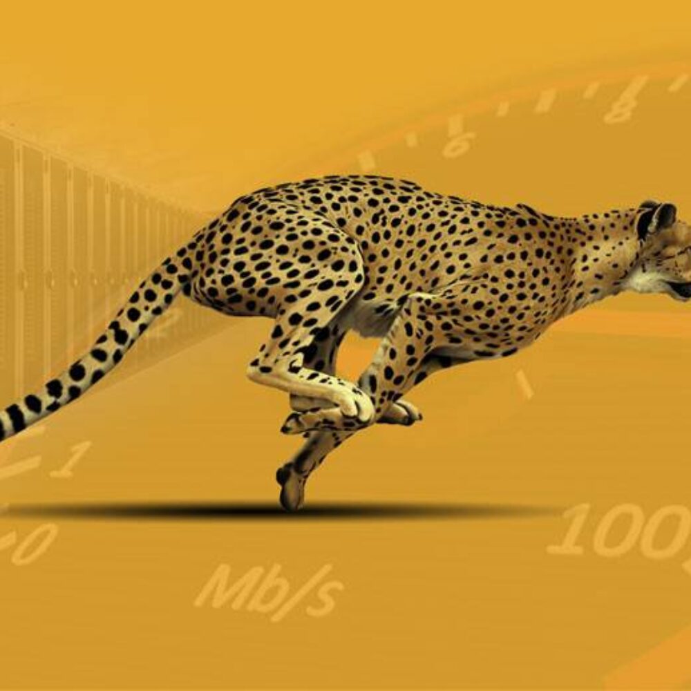 velocita sito web
