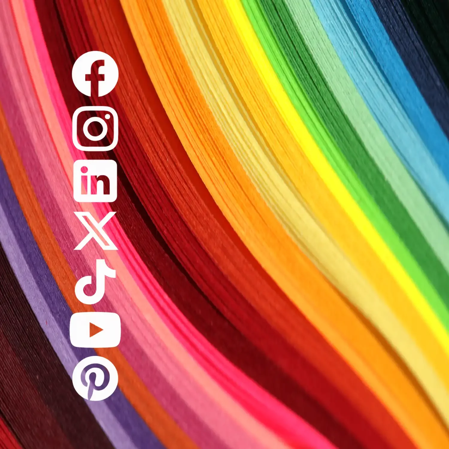 Gestione Social Network Professionale Alkimedia
