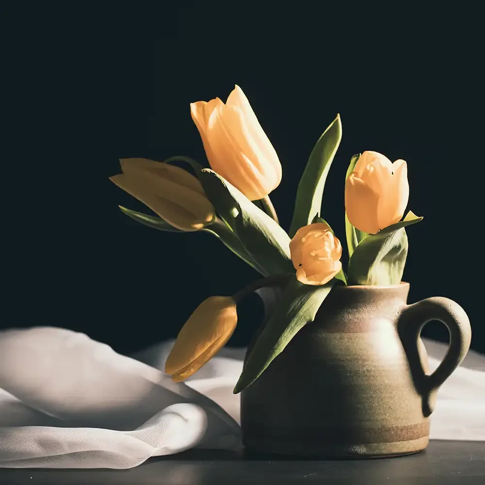 foto still life professionali
